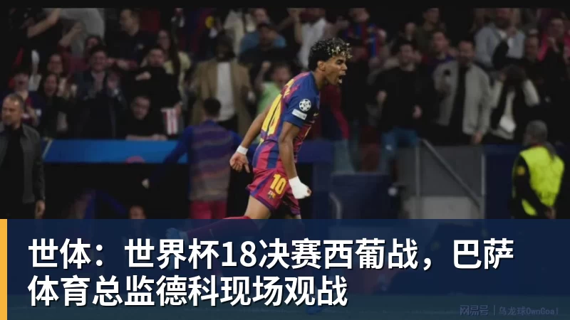 世体:世界杯18决赛西葡战,巴萨体育总监德科现场观战