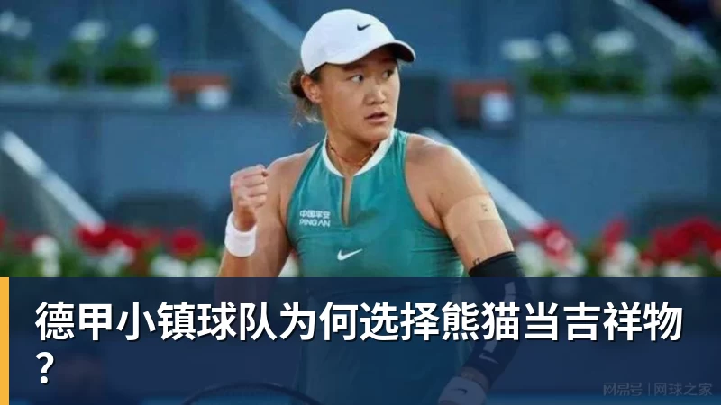 九游体育德甲小镇球队为何选择熊猫当吉祥物？